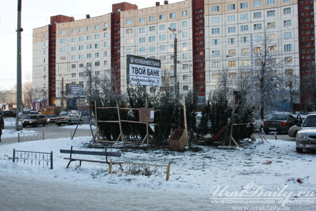 ёлочный базар в Челябинске ёлочный базар в Челябинске